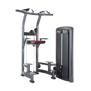 ASSISTED CHIN UP /DIP