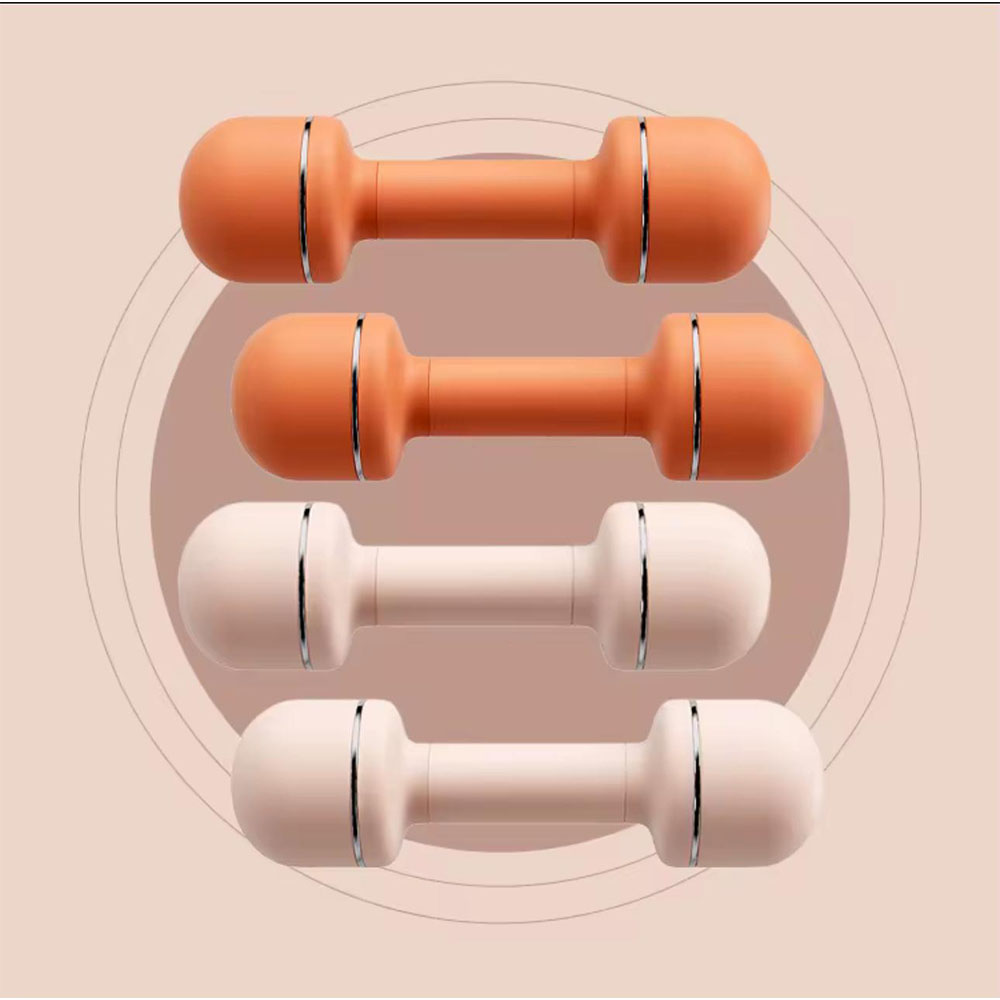 DUMBELL ADJUSTABLE 1-3 KG PAIR