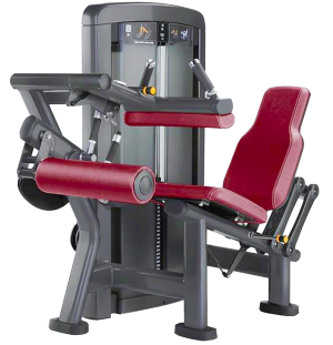 LEG CURL LEG EXTENSION COMBO