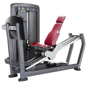 LEG PRESS