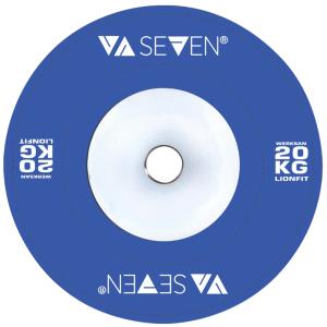 CUSTOM COLORED 20 KG  PLATE %>