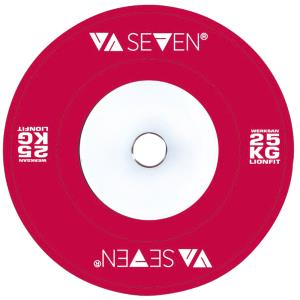 CUSTOM COLORED 25KG DİSK %>