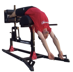 PRO GLUTE HAM MACHINE